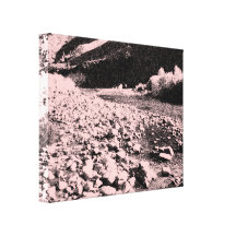 Pink Rocks Canvas Print