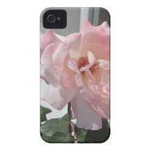 Pink Rose bloom iPhone 4 Case-Mate Cases