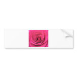 Pink Rose bumper stickers