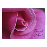Pink Rose Cards