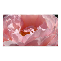 Pink Rose Flower Business Cards Floral
