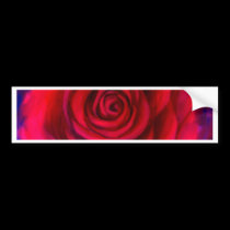 Pink Rose Flower Painting Art - Multi bumper stickers