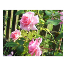 Pink rose invitation