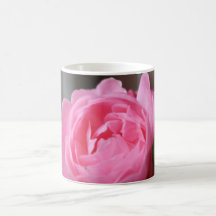Pink Rose Mug