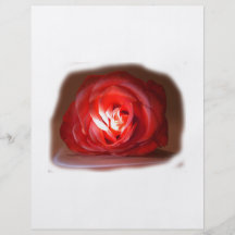 Pink Rose Spotlighted Iimage Flyer