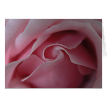 Pink Rose Swirl Blank Inside Cards