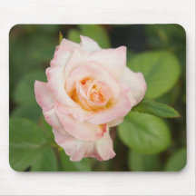 Pink Rose Swirl Mousepad