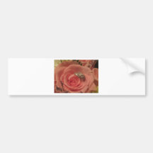 Pink rose with wedding rings bumper sticker