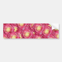 Pink roses bumper stickers