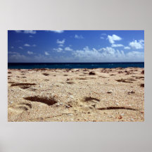 Pink Sand Beach Poster