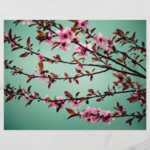 Pink spring flowers flyers