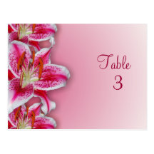 Pink Stargazer Table Number Postcard