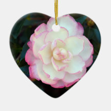 Pink Tipped Camellia-053 Ornament