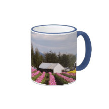 Pink Tulip Field Mugs