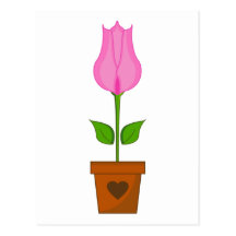Pink Tulip Postcard