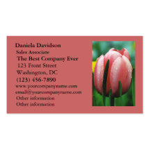 Pink Tulip with Water Drops Business Card Template