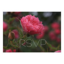 pink wild rose rsvp card for wedding invitations.