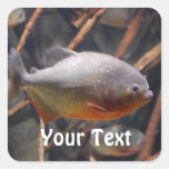 Piranha - Innocent Looking Brown Fish Sticker