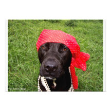 Pirate dog, black lab, red hankerchief green grass invites