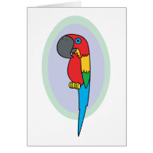 Pirate Parrot Greeting Card