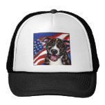 Pitbull Bob with American Flag Trucker Hats