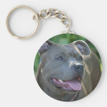 Pitbull dog keychain