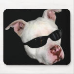 Pitbull mousepad