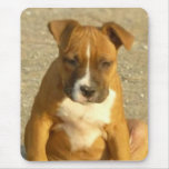 Pitbull puppy mouse mats