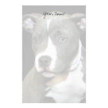 Pitbull puppy stationary stationery