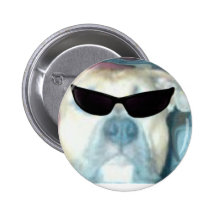 Pitbulls Are Cool Buttons