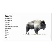 Plains Bison Business Card Templates