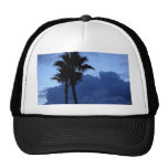 Plam Trees At Sunrise Hats