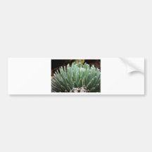 Plant 1 bumper sticker