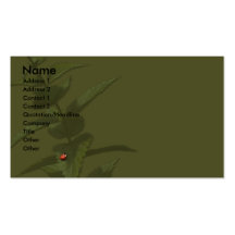 Plant and Lady Bug Business/Profile Cards Business Cards