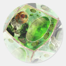 plant cell2 sticker