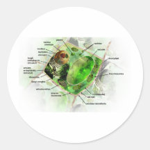 plant cell round sticker