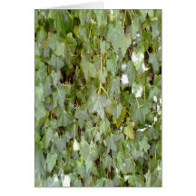 Plant covering stone wall greeting card