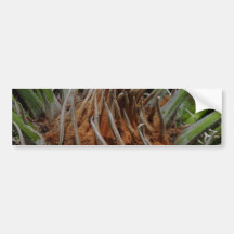 Plant Green Bumper Stickers