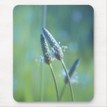 Plant lovers mousepad