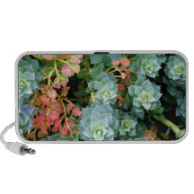 Plant Speakers