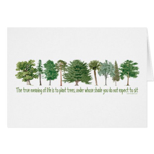 Plant Trees - Tree Lover, Hugger Card