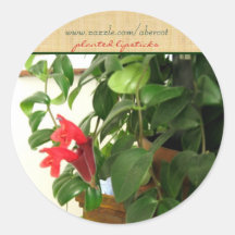 Planted Lipsticks Stickers