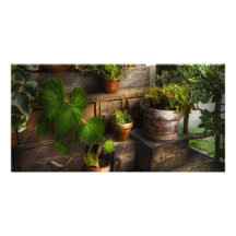 Plants - A summers soak Photo Greeting Card