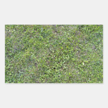 Plants Growing On Green Grassy Landscape Rectangular Stickers