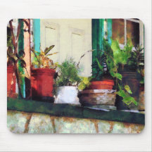 Plants on Porch Mousepads