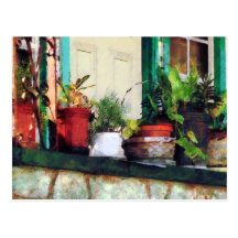 Plants on Porch Post Card
