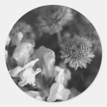 plants stickers