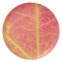 plate crackles
