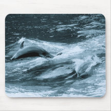 Playful Dolphins Mouse Pads