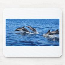 Playful Dolphins Mousepads